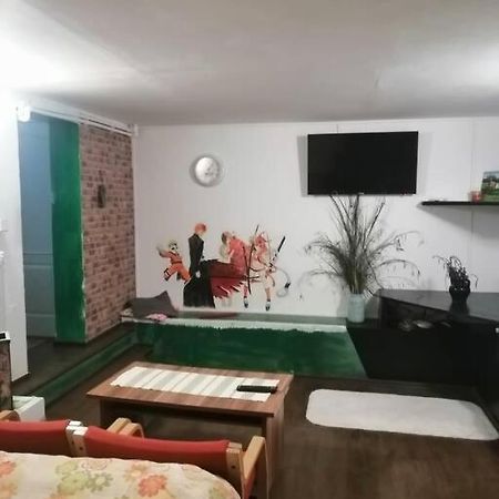 Apartament Moss'S Cave Timișoara Zewnętrze zdjęcie