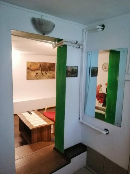 Apartament Moss'S Cave Timișoara Zewnętrze zdjęcie